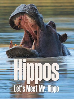 cover image of Hippos--Let's Meet Mr. Hippo